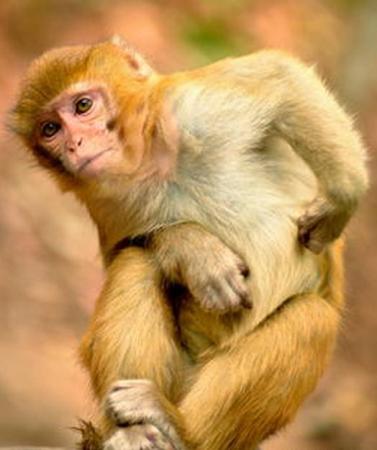 扽擓熥谝怎么读？您会读“扽擓熥谝”这四个汉字吗？天天挂在嘴边上，但却鲜有人知