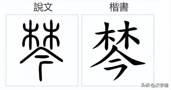 棽怎么读?棽的读音和意思!插图2 棽怎么读?棽的读音和意思!