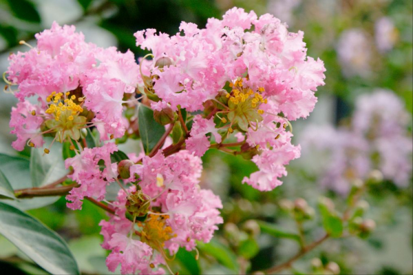 古诗界里的18位著名诗人的雅号，你知道多少?“诗仙”李白、“诗圣”杜甫，那“诗魔”“诗鬼”“诗神”“诗佛”又是谁呢？