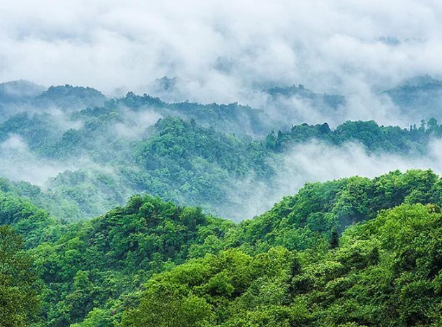 精选杨万里七言绝句诗21首插图1 精选杨万里七言绝句诗21首