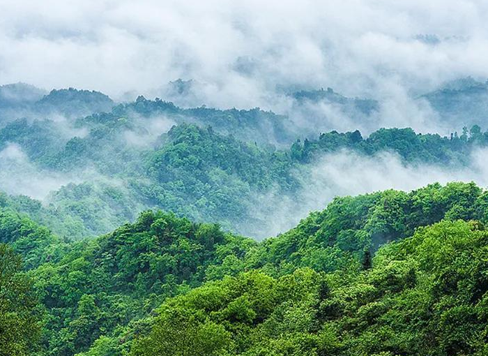 精选陆游七言绝句诗19首