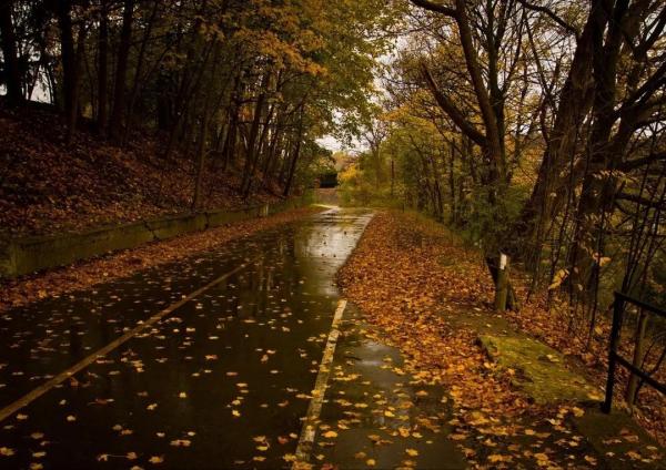 精选古人含雨七言绝句诗19首