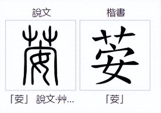 荌怎么读？上面一个“艹”下面一个“安”是什么字？