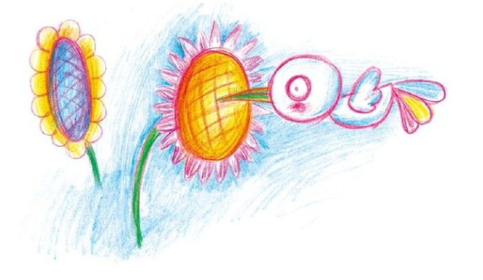 「动物百科」蜂鸟会哪些绝技？