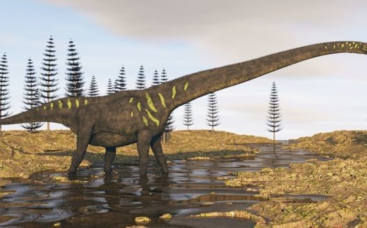 澳大利亚发现的世界上最大的恐龙脚印
