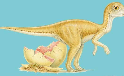 恐龙灭绝的原因 恐龙是怎么灭绝的