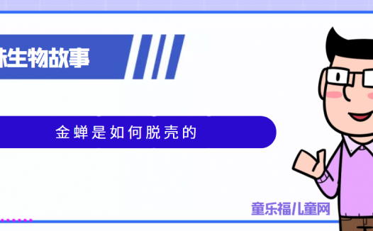 趣味生物科普知识:金蝉是如何脱壳的