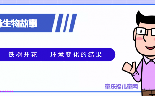 趣味生物科普知识:铁树开花——环境变化的结果