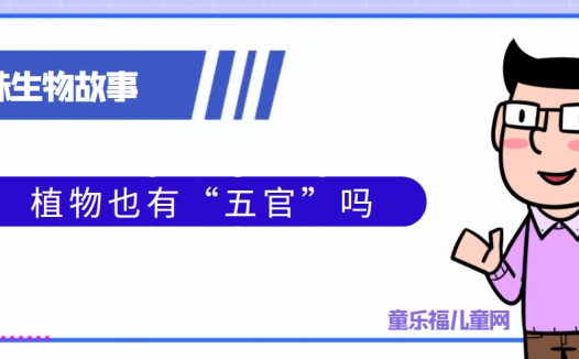 植物 童乐福儿童网