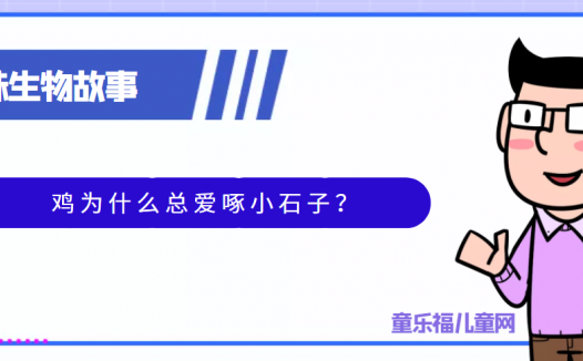 趣味生物科普知识:鸡为什么总爱啄小石子?
