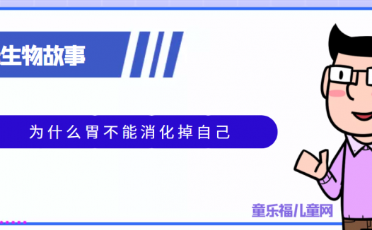 趣味生物科普知识:神奇的胃——为什么胃不能消化掉自己