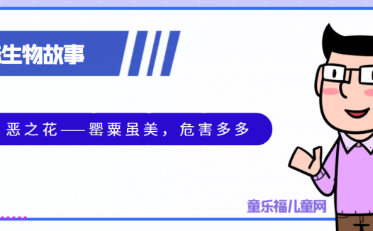 趣味生物科普知识:恶之花——罂粟虽美,危害多多