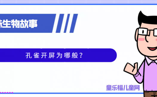 趣味生物科普知识:孔雀开屏为哪般?孔雀开屏的原因是什么?