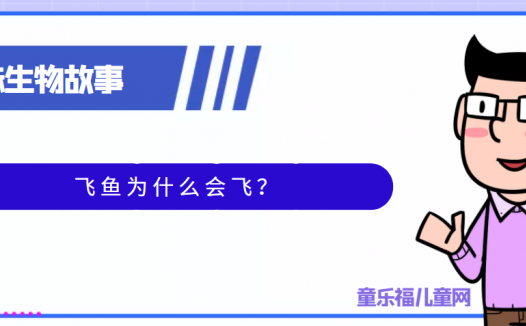 趣味生物科普知识:飞鱼为什么会飞?