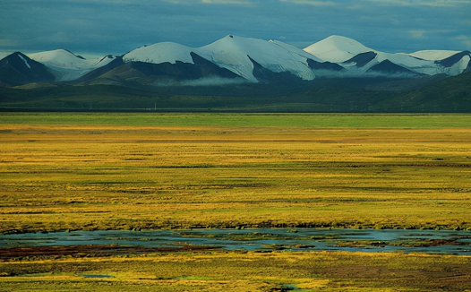 我国的四大高原是哪四个高原?其中黄土高原的范围占多少？
