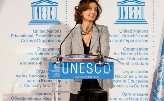 世界哲学日是哪天及世界哲学日的由来?设立世界哲学日的目的和意义?