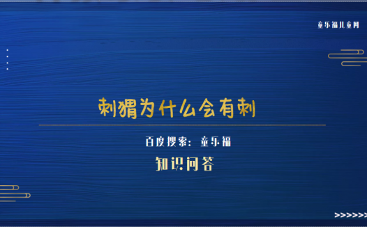 刺猬为什么会有刺（刺猬刺的作用和功能）