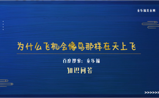为什么飞机会像鸟那样在天上飞(世界上第一架飞机诞生于哪一年)