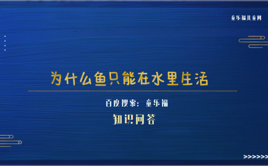 为什么鱼只能在水里生活（什么鱼离水后不会死）