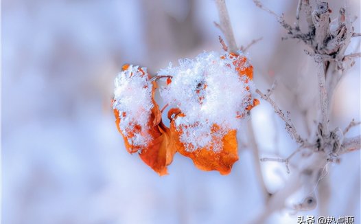 2021年三九从什么时候开始(2021年三九时间表)