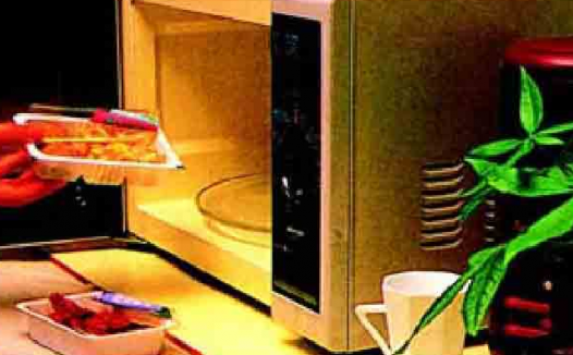 【生活中的科学】 为什么用微波炉煮食品时不能用金属器皿?