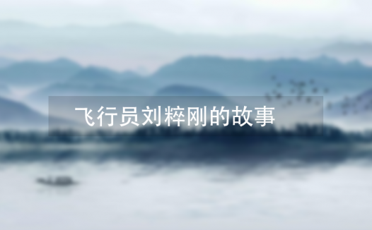 刘粹刚:抗战中击落敌机数量最多的飞行员