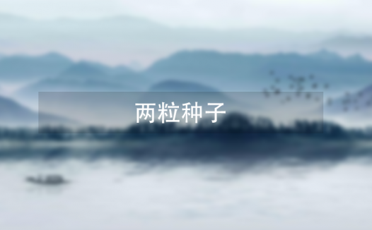 两粒种子