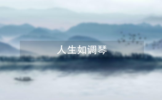 人生如调琴