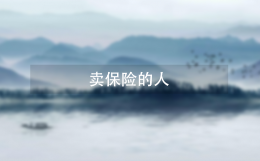 卖保险的人