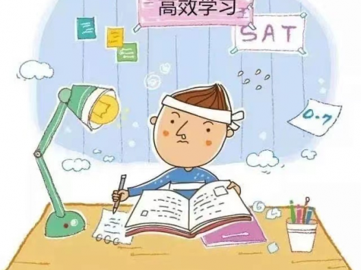 作业经常出差错怎么办？