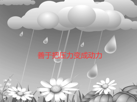 善于把压力变成动力（化压力为动力）