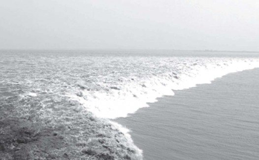 宋词赏析:弄潮儿向涛头立,手把红旗旗不湿——酒泉子·长忆观潮(弄潮儿的来历)