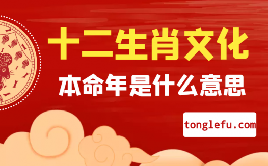十二生肖文化之生肖本命年是什么意思
