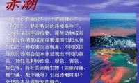 孩子想知道的海洋知识:“赤潮”之谜(什么是赤潮)