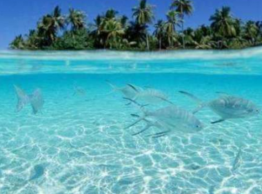 孩子想知道的海洋知识:海水是从哪里来的