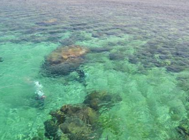 孩子想知道的海洋知识:海水“密度跃层”的探索