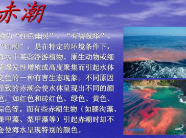孩子想知道的海洋知识:“赤潮”之谜(什么是赤潮)