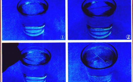 水的小实验:漂在水面的针【液体表面张力】