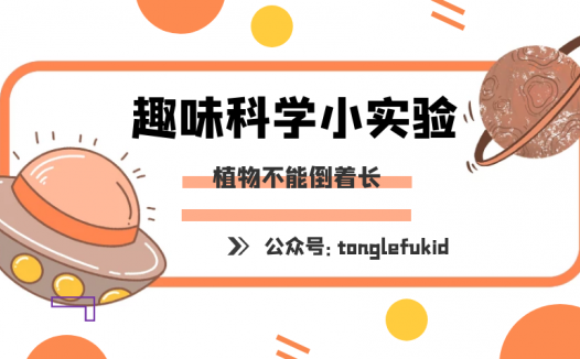 重力对植物生长的影响实验:植物不能倒着长