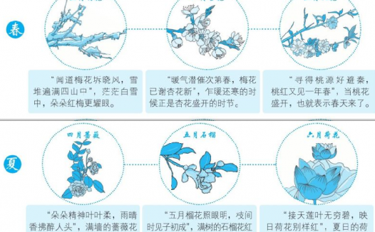 二十四节气和农历十二个月候应姊妹花(十二姊妹花歌谣)