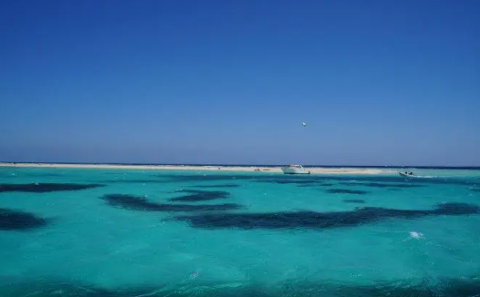 孩子想知道的海洋知识:红海真的能变成新大洋吗