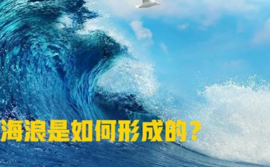 孩子想知道的海洋知识：海浪是怎么形成的？世界上最高的海浪在哪里？