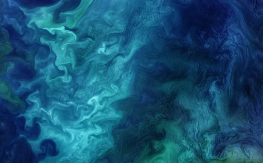 孩子想知道的海洋知识:海光和海水开花