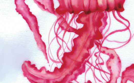 【儿童水彩画教程:海洋动物】水母