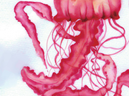 【儿童水彩画教程：海洋动物】水母