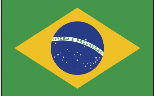 「童眼看世界」巴西国旗、国徽、国歌、风俗习惯