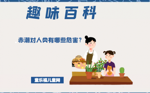 「趣味知识小百科」赤潮对人类有哪些危害?