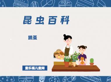 「昆虫百科」跳蚤