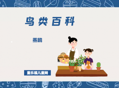 「鸟类百科」燕鸥