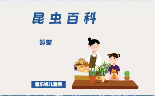 「昆虫百科」蜉蝣